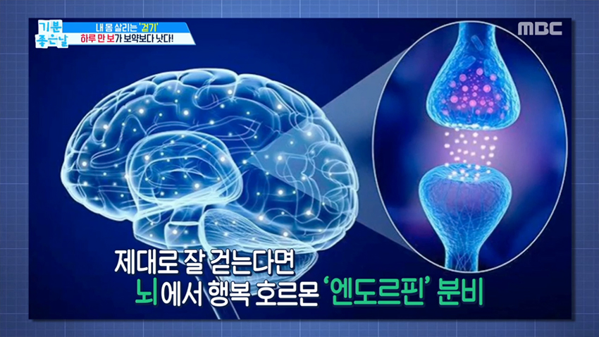 러너스 하이 이미지