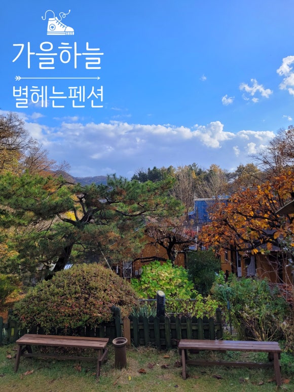 숲속펜션 이미지