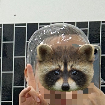 태후사랑 피부사랑 이미지