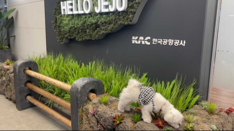 아점부엌 이미지