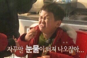 비니프 이미지