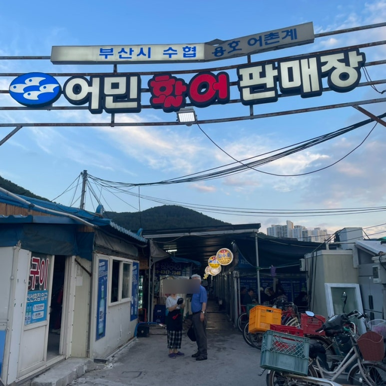 해영호 이미지