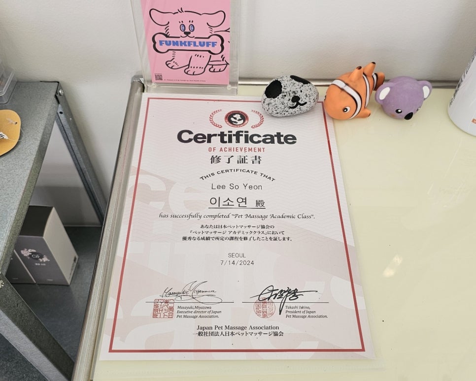 건대 펑크플러프 강아지 피자 만들기 원데이 클래스 후기 — 사진 4