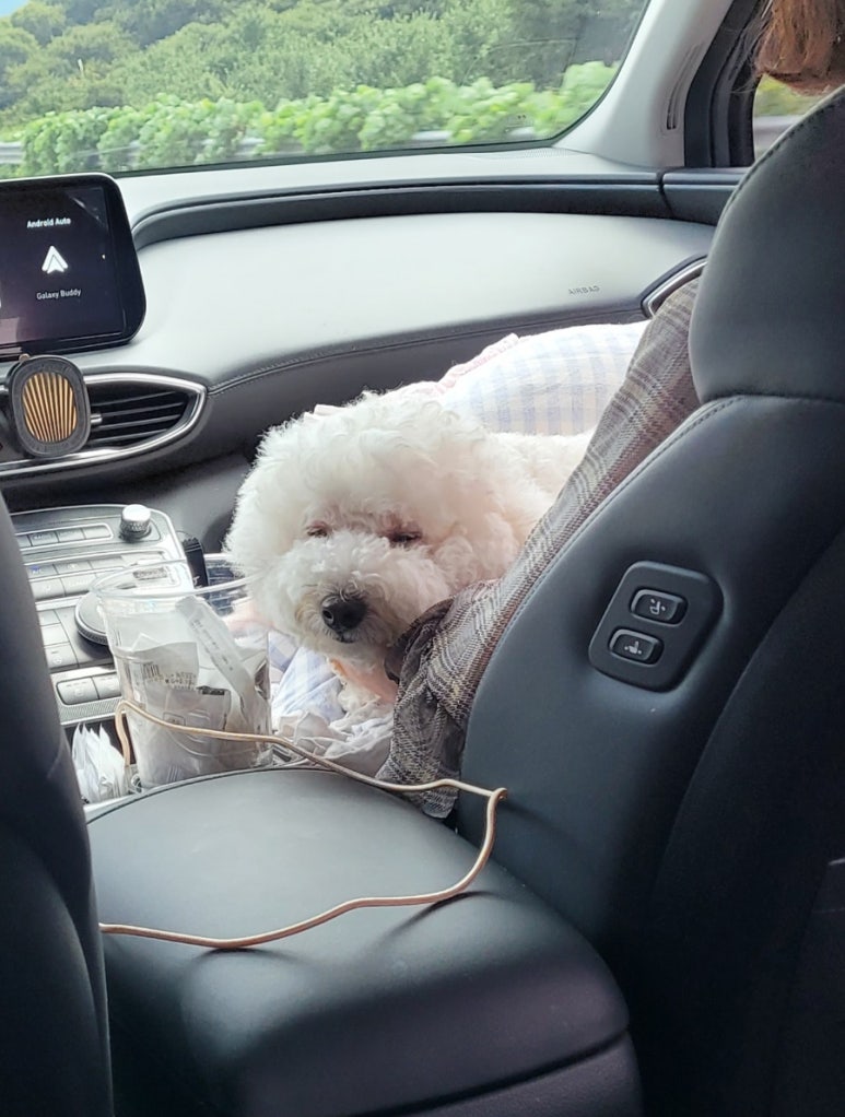 산솔회관 이미지