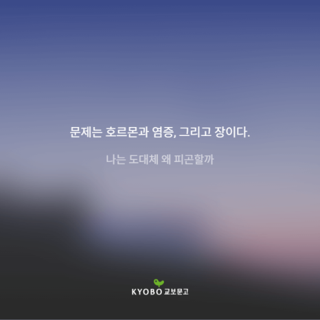 교보문고주 이미지