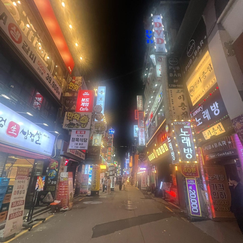 올리비아투어 이미지