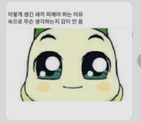 다솜미용실 이미지