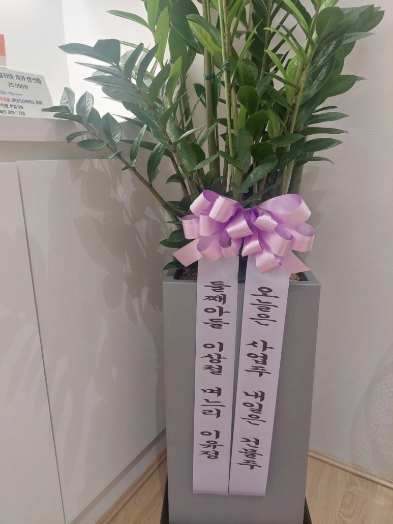 아하데이스파(용호점) 이미지