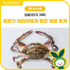 오메가3가 가득! 성장기 어린이👧에게 좋은 제철 꽃게🦀 바로가기