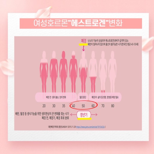 애플산부인과마곡 이미지