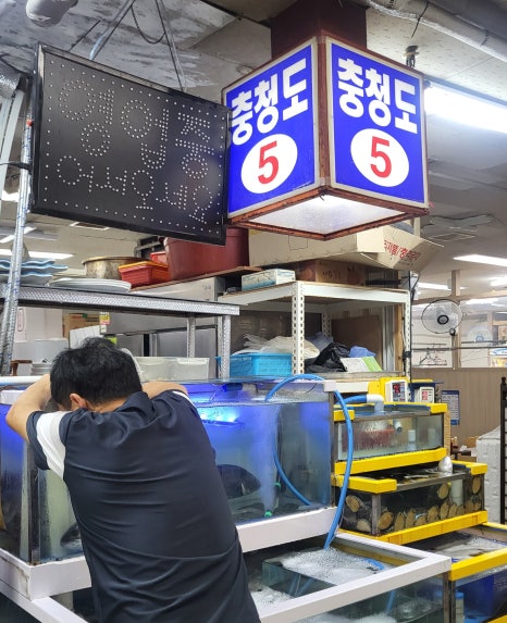 충청도4호 이미지