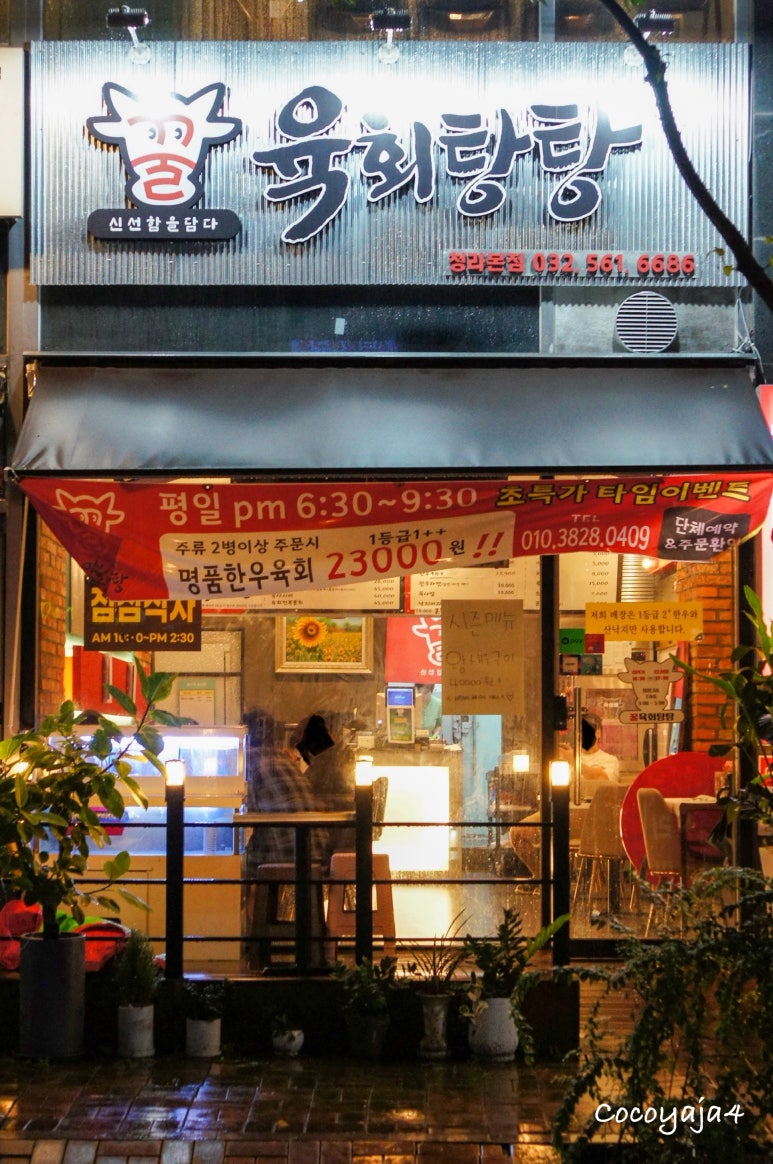 꿀육회탕탕 이미지