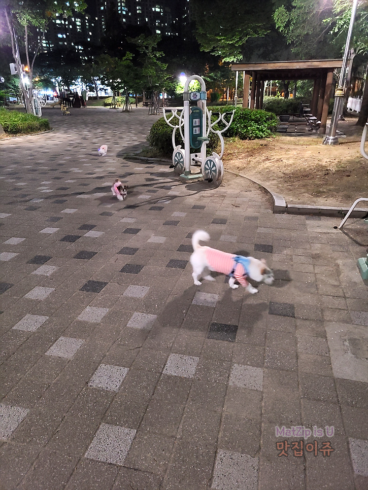 커피디 이미지