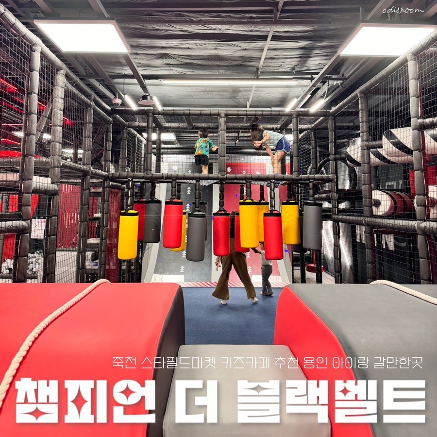 스타필드마켓 죽전점 챔피언더블랙벨트 이미지