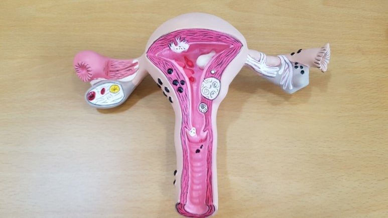 애플산부인과마곡 이미지