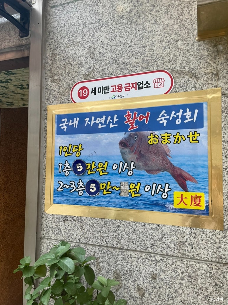 대하 사진 4