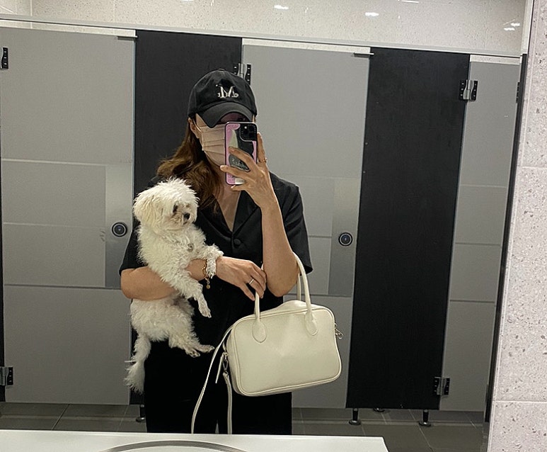코코 반려견미용실 이미지