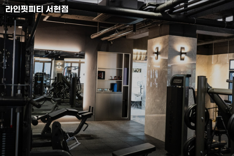 라인핏피티 이미지