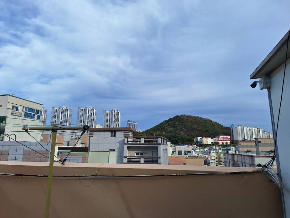 달스테이 이미지