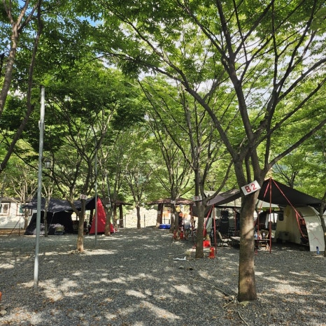 청도힐링오토캠핑장 이미지