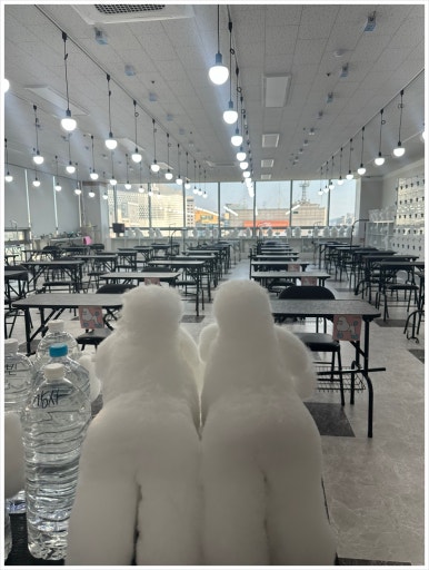 대전애견미용학원 이미지