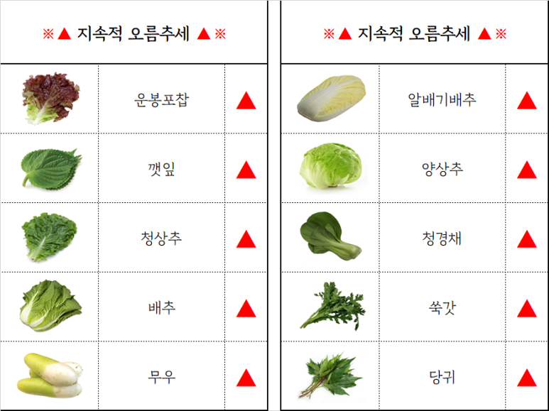 청운유통 이미지