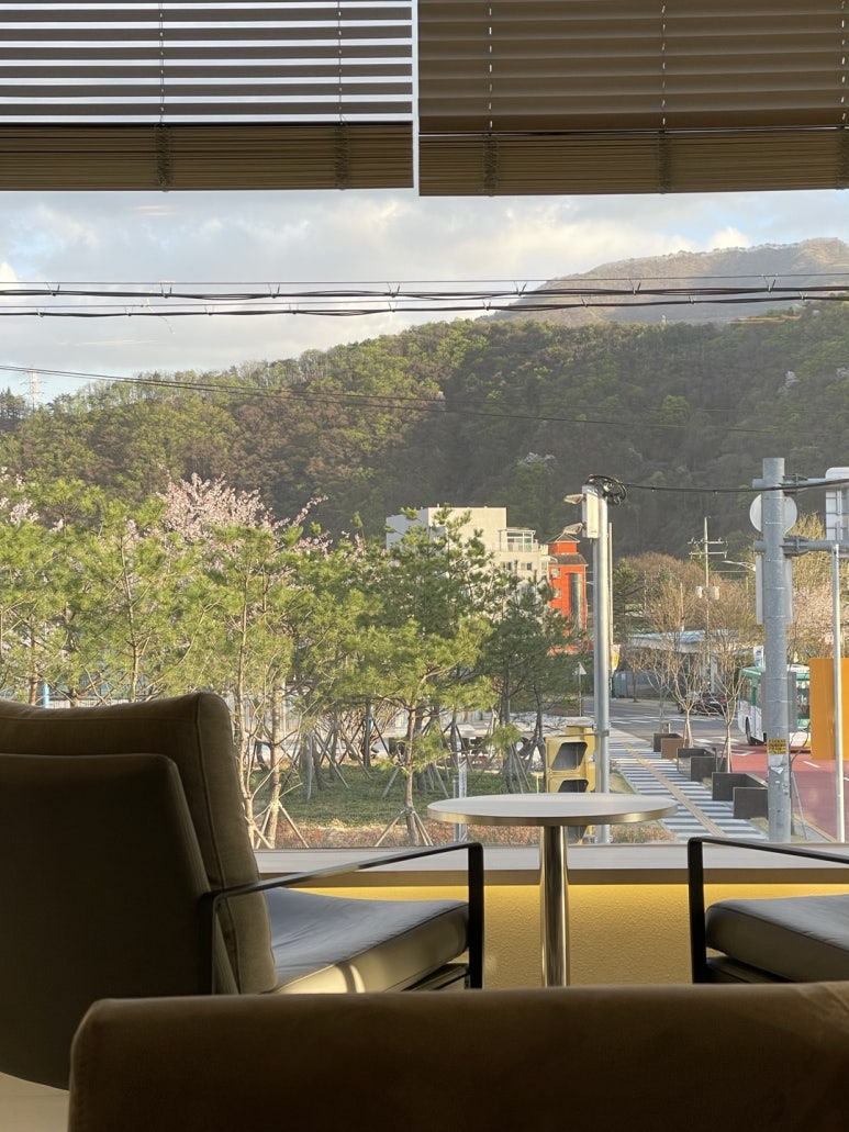 테르 이미지