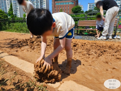 아이황토 이미지