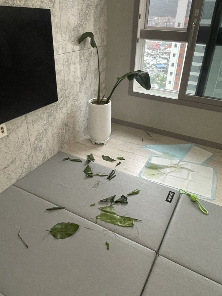 오늘도통통 침산점 이미지