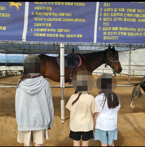 수타강화 이미지