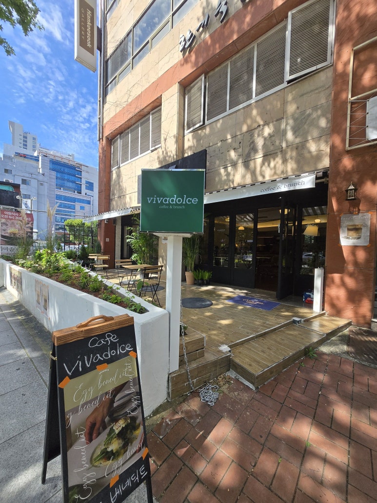 비바돌체 이미지