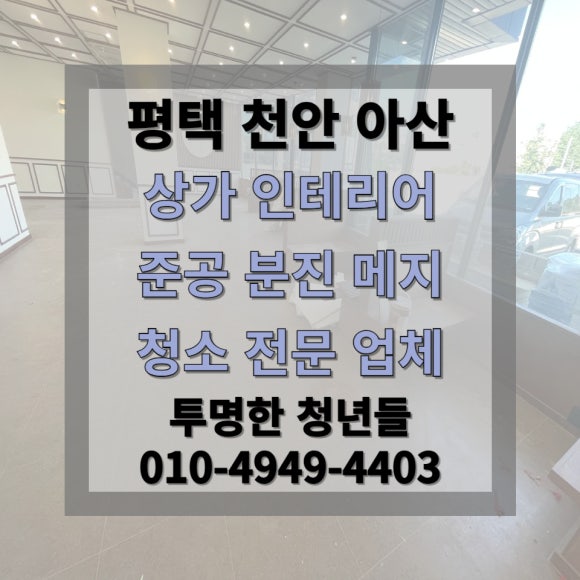 투명한청년들 이미지