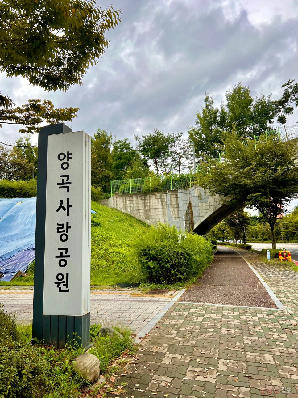 양촌 유아숲체험원 이미지