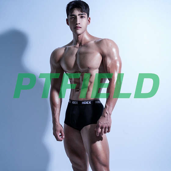 피티필드개금 이미지