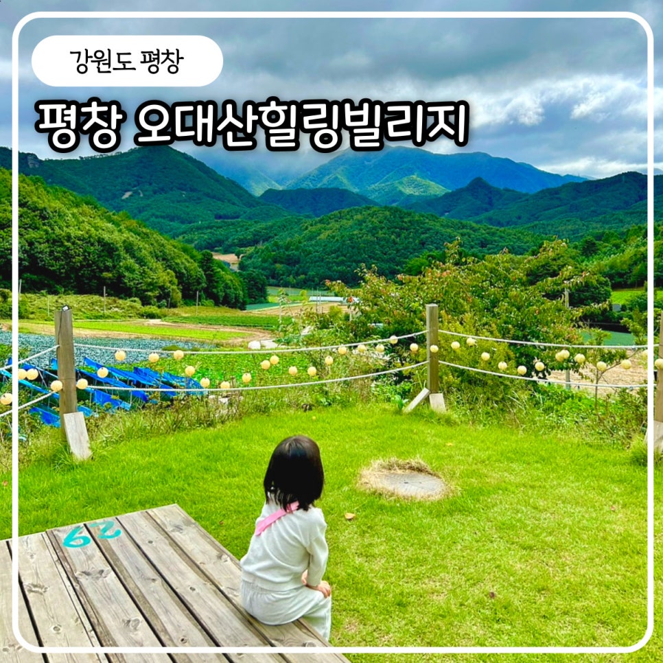 오대산힐링빌리지 이미지