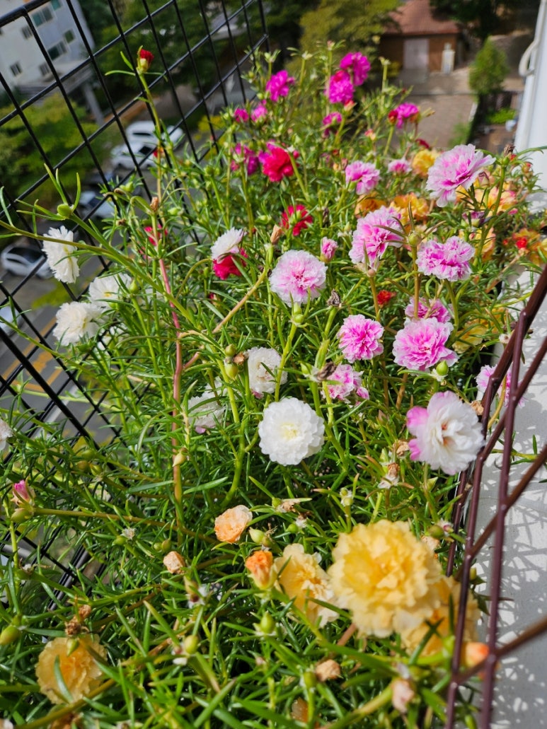 이쁜이들 네이버 블로그