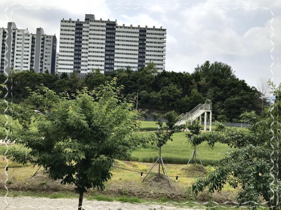 마음제빵소 이미지