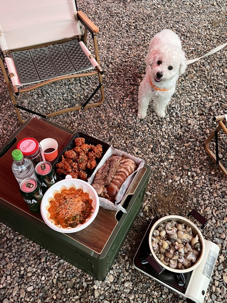 별비담캠핑장 이미지