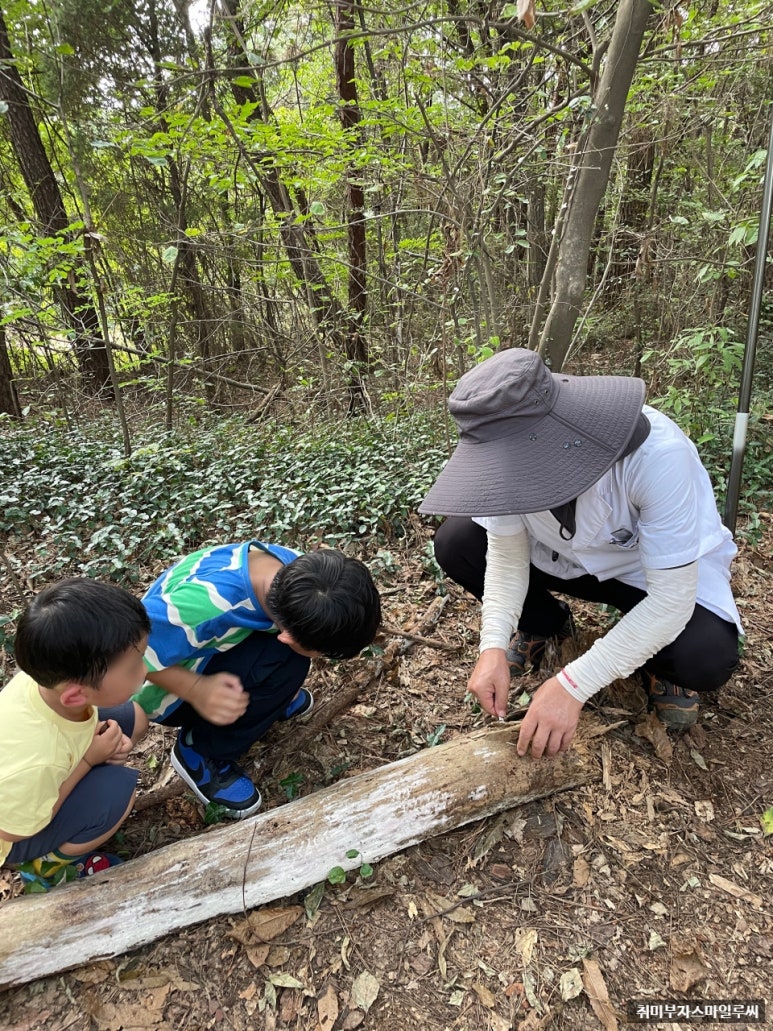 순천곤충박물관 이미지