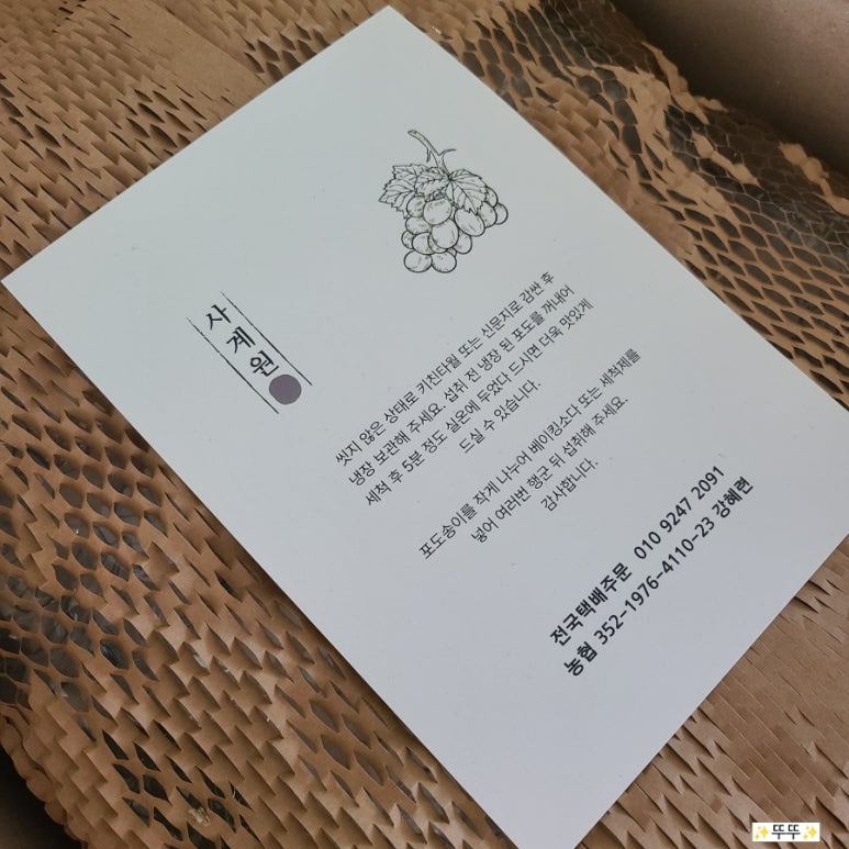 사계원 이미지