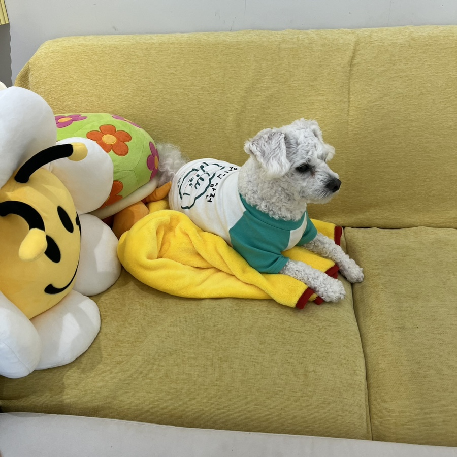 뷰티노리샘 이미지
