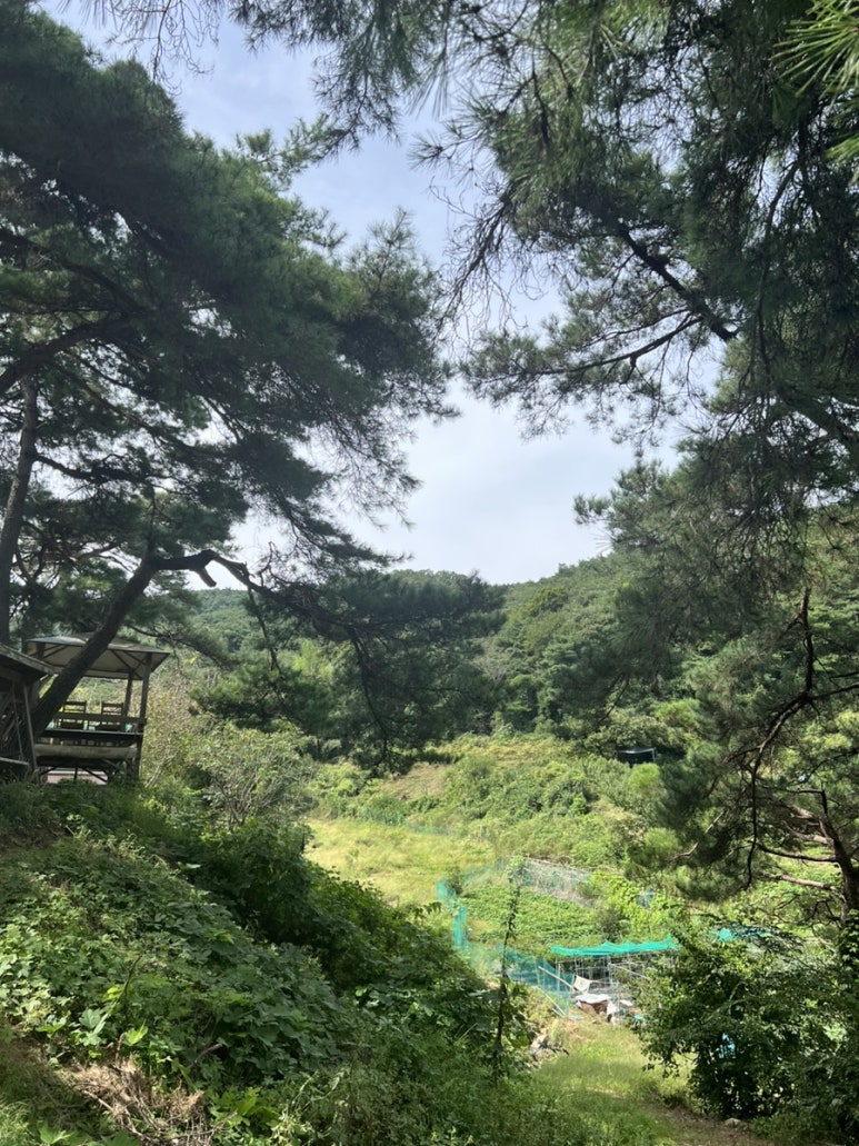 윤가네곤드레밥 이미지