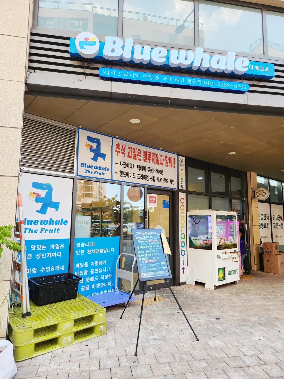 피자스쿨여수웅천점 이미지