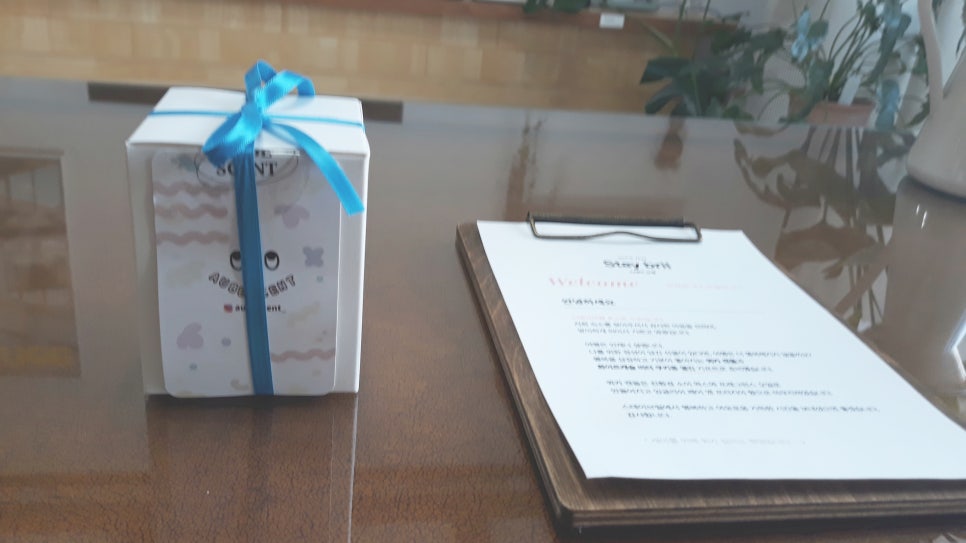 스테이브릴 이미지