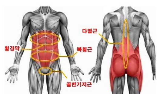 헬스패밀리 이미지