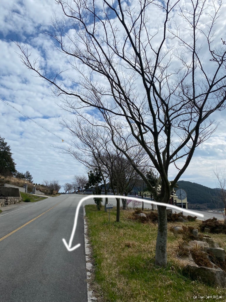 도청 한우국밥 이미지