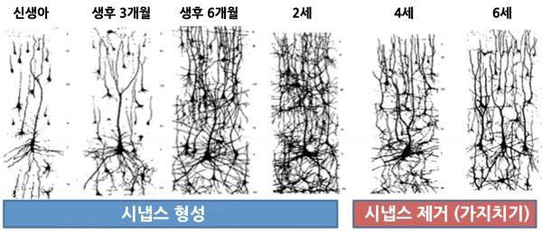 아이촘촘 이미지