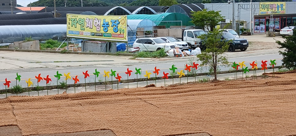수타강화 이미지