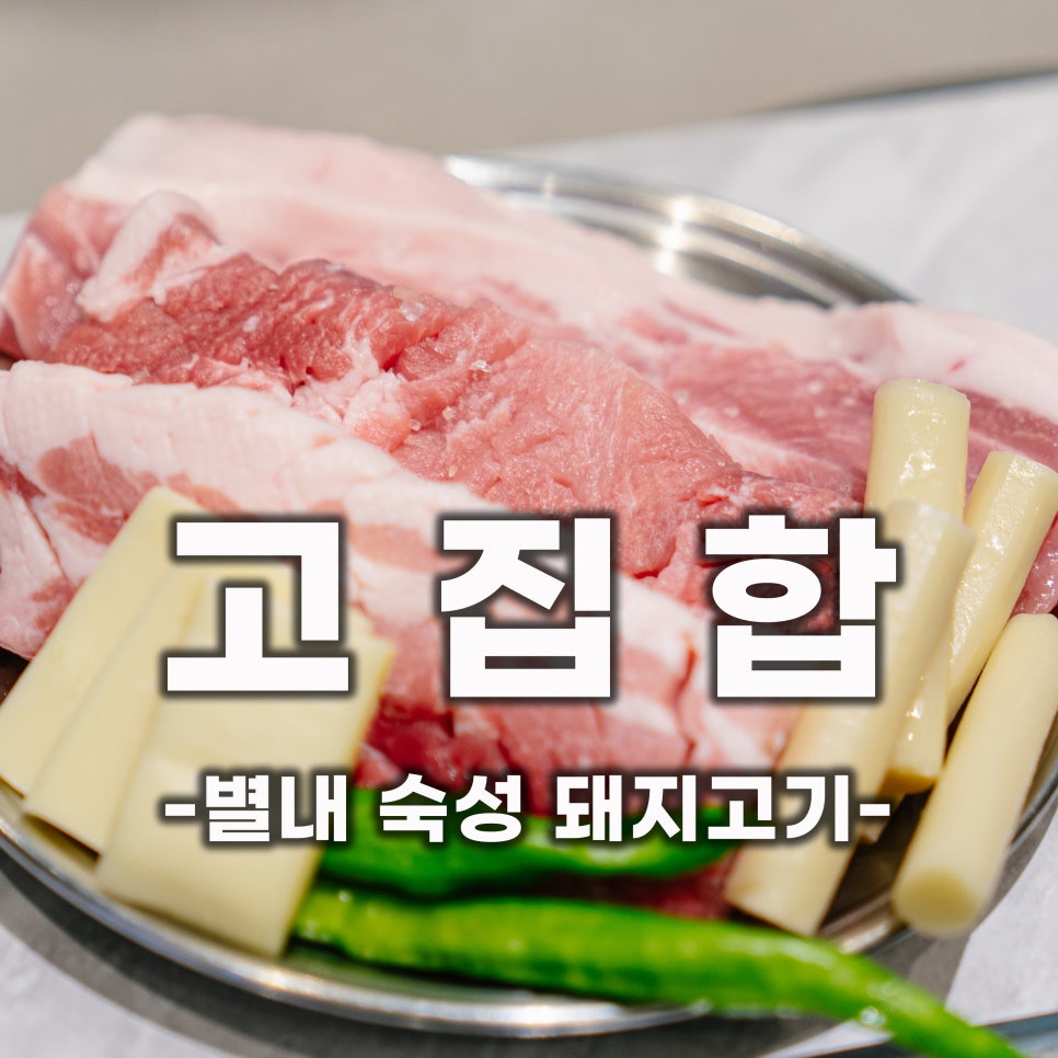 고집합 이미지