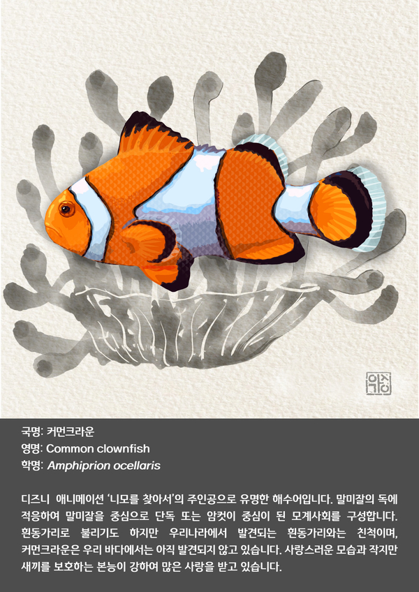 인어크라운 이미지